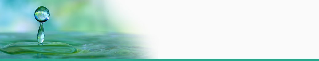 Bucal | Dental Bucal | Dental
